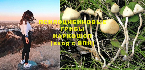 2c-b Бронницы